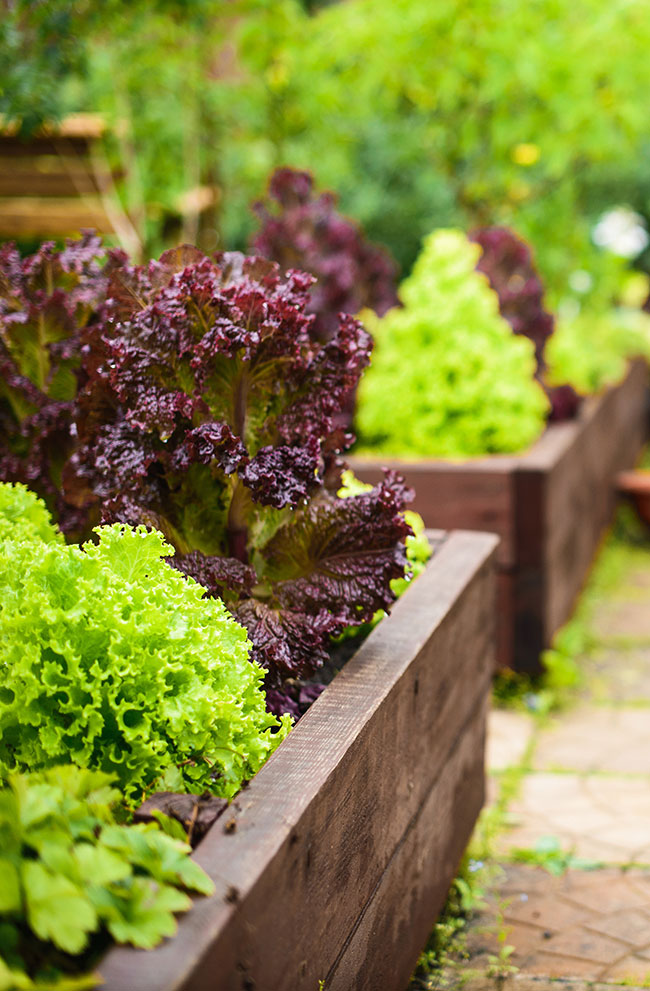 alcool, vinaigre et matières premières pour jardins espaces verts et infrastructures | Charbonneaux-Brabant Reims